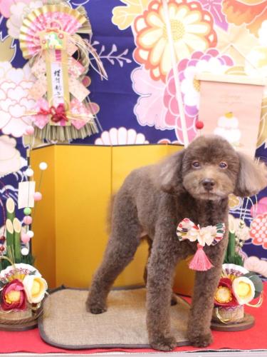 20240114杏ちゃん